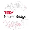 TEDxNapier Bridge TEDxNapier Bridge