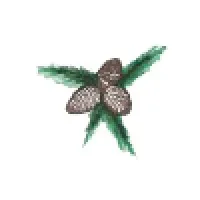 Cimarron Lumber & Supply