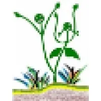 Aashayein Foundation