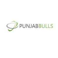Punjabbulls Technology Pvt Ltd