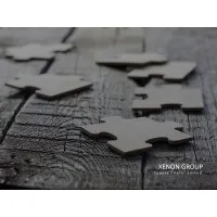 Xenon Group