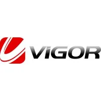 VIGOR INNO-TECH Limited