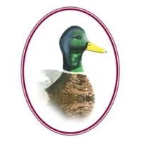 Mallard Insurance Mallard Insurance