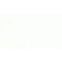 WSNE Consulting verified emails