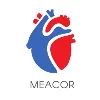 MEACOR MEACOR