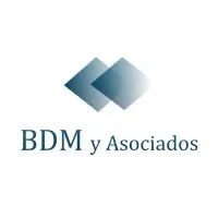 BDM y Asociados