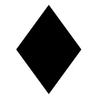 BLACK DIAMOND CONSULTANTS