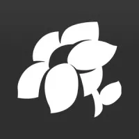 Fullflower Studio LLC