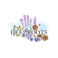 Deep Roots KC
