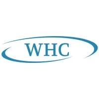Webdale Healthcare Consulting, LLC