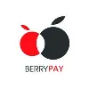 BerryPay Official BerryPay Official