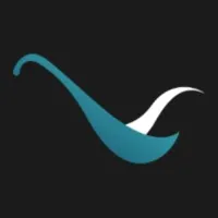 Blue Valley Technologies LLC