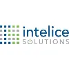 Intelice Solutions Intelice Solutions
