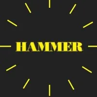 Hammer Publishers Pvt. Ltd.