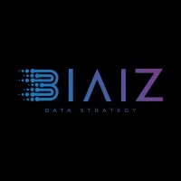 Biaiz Data Strategy