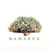 The National Resources Investment & Development Corporation| MAWARED The National Resources Investment & Development Corporation| MAWARED