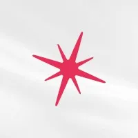 Icarus, Inc.