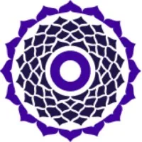 True Wealth Ventures