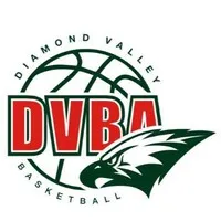 Diamond Valley Basketball Association