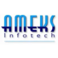 AMEKS Infotech