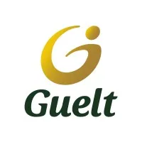 Guelt Investimentos