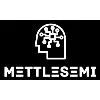 Mettlesemi Systems and Technologies Mettlesemi Systems and Technologies