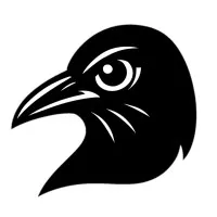 Crows Eye LLC Crows Eye LLC