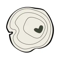 WA Cares Fund