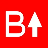 Big Brancy - ROI Focused Marketing Agency