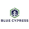 Blue Cypress Blue Cypress