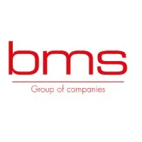 BMS Group