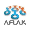 Aflak Electronics Industries Company Aflak Electronics Industries Company