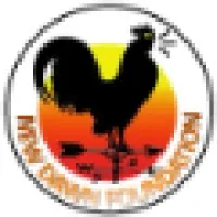 New Dawn Foundation New Dawn Foundation
