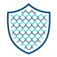 ICE Dragon Corrosion