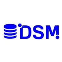 DSM IT PVT LTD DSM IT PVT LTD