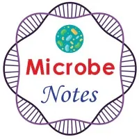Microbe Notes email format