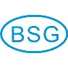 BSG Auto Glass BSG Auto Glass