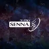 Cientifica Senna SA de CV Cientifica Senna SA de CV