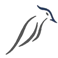 Nakar Group Nakar Group