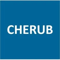 Cherub Advisory & Consulting - IT Sourcing for Maximum Value
