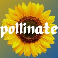 Pollinate Marketing