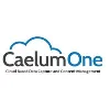 CaelumOne Solutions Corporation CaelumOne Solutions Corporation