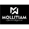 MOLLITIAM INDUSTRIES MOLLITIAM INDUSTRIES