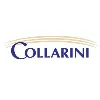 Collarini Energy Experts
