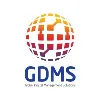 Global Digital Management Solutions Global Digital Management Solutions