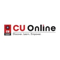  Chandigarh University Online