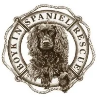 Boykin Spaniel Rescue, Inc.