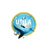 Utila Dive Centre Utila Dive Centre