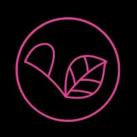 Provanity Cosmetics