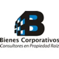 Bienes Corporativos Bienes Corporativos